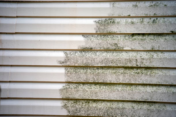 Professional Siding Installation & Repair in Marcellus, MI