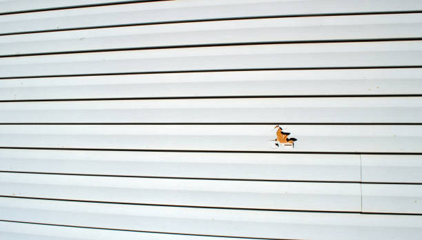 Best James Hardie Siding  in Marcellus, MI