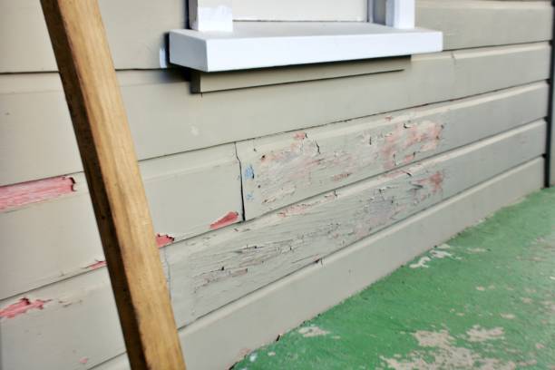 Best Custom Siding Design  in Marcellus, MI